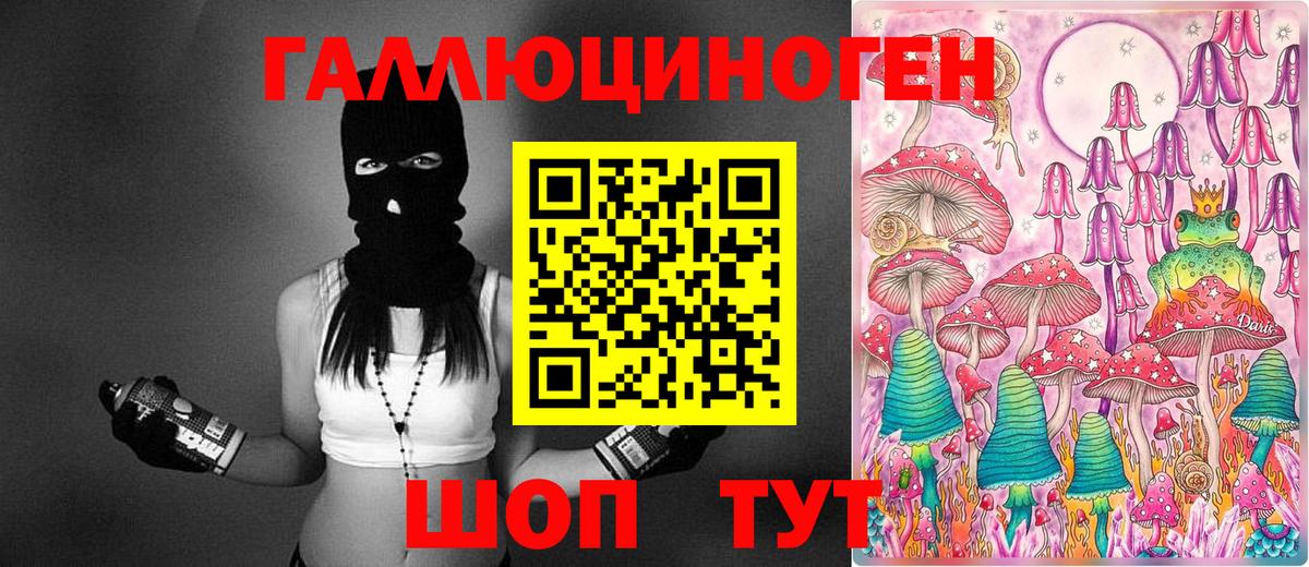 Димитровград  Псилоцибиновые грибы прущие грибы  Псилоцибиновые грибы ЛСД  Вход с VPN 